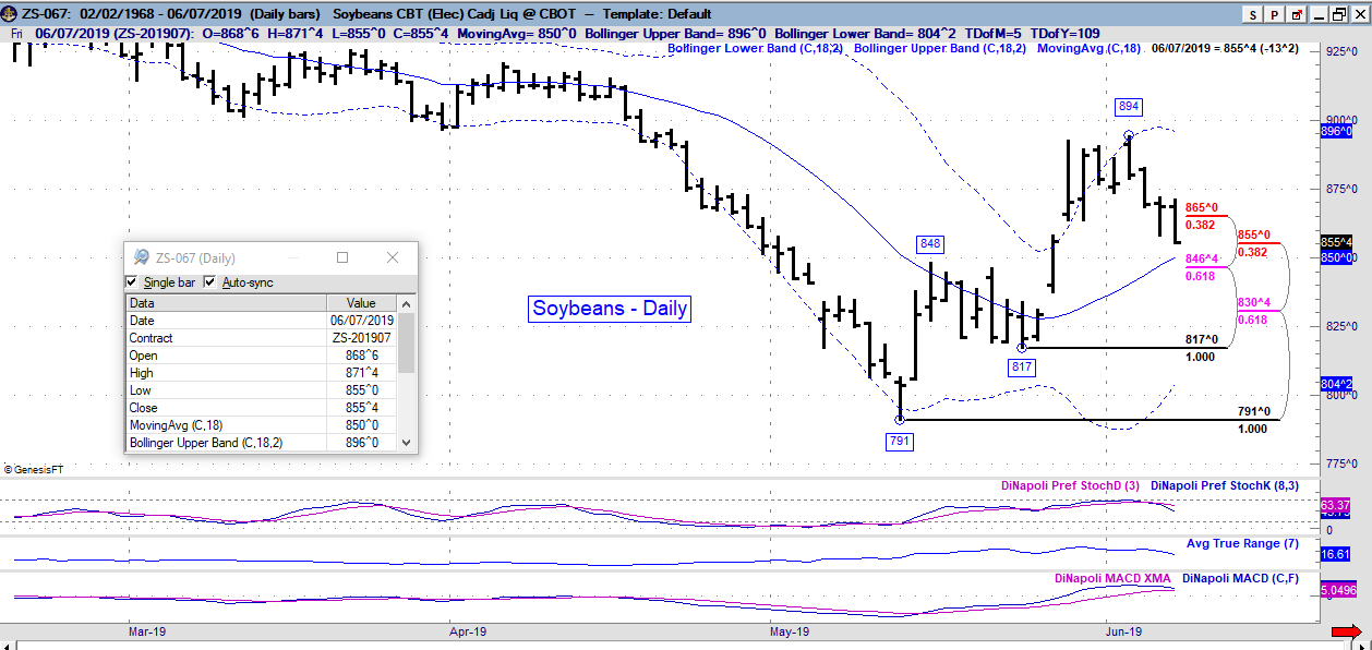 zs daily