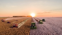Grain - Strategies – Long Comparison